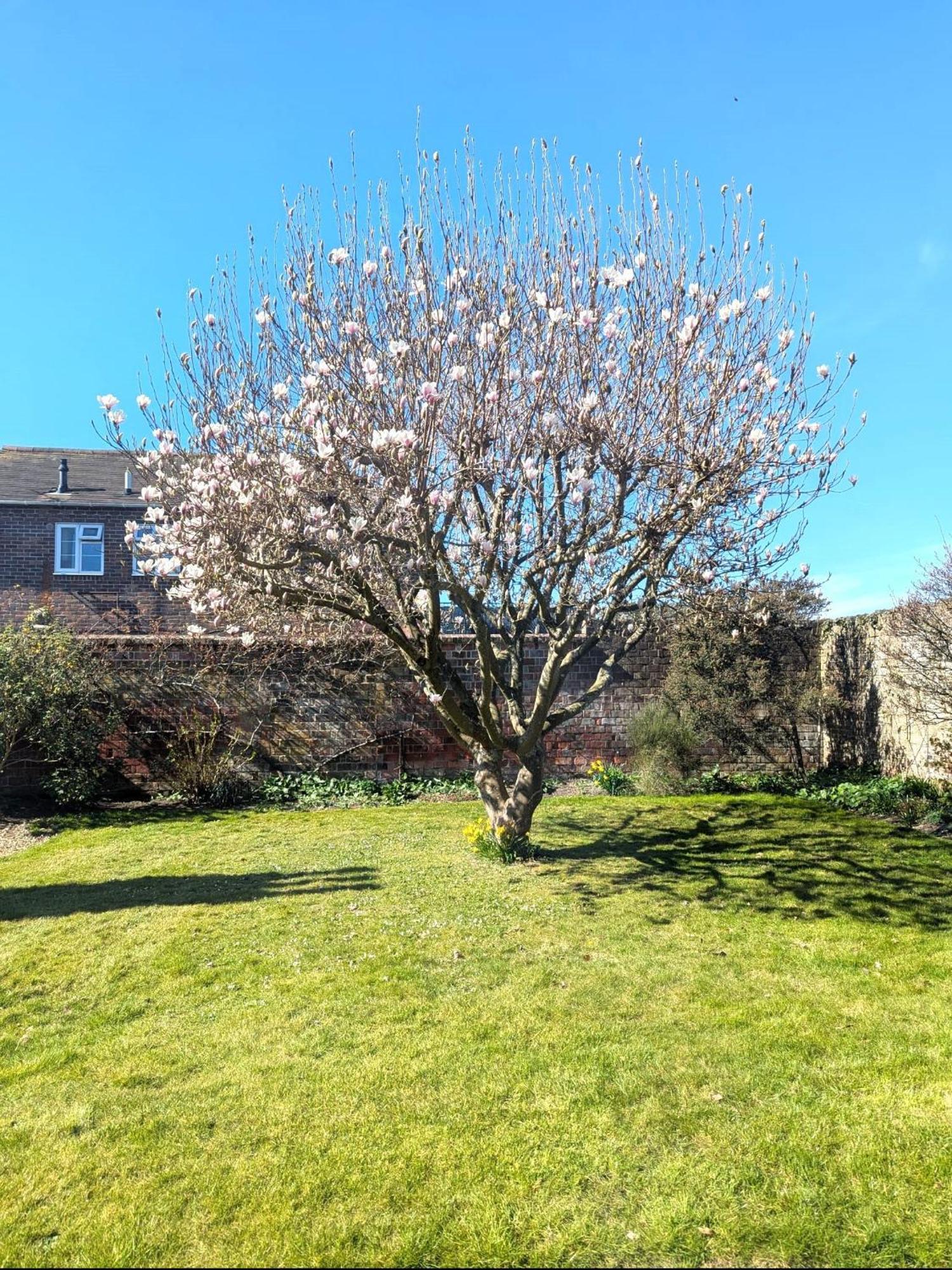 Georgian 2 Bedroom Apartment In Chichester With Free Parking - Chichester Holiday Properties Exteriér fotografie