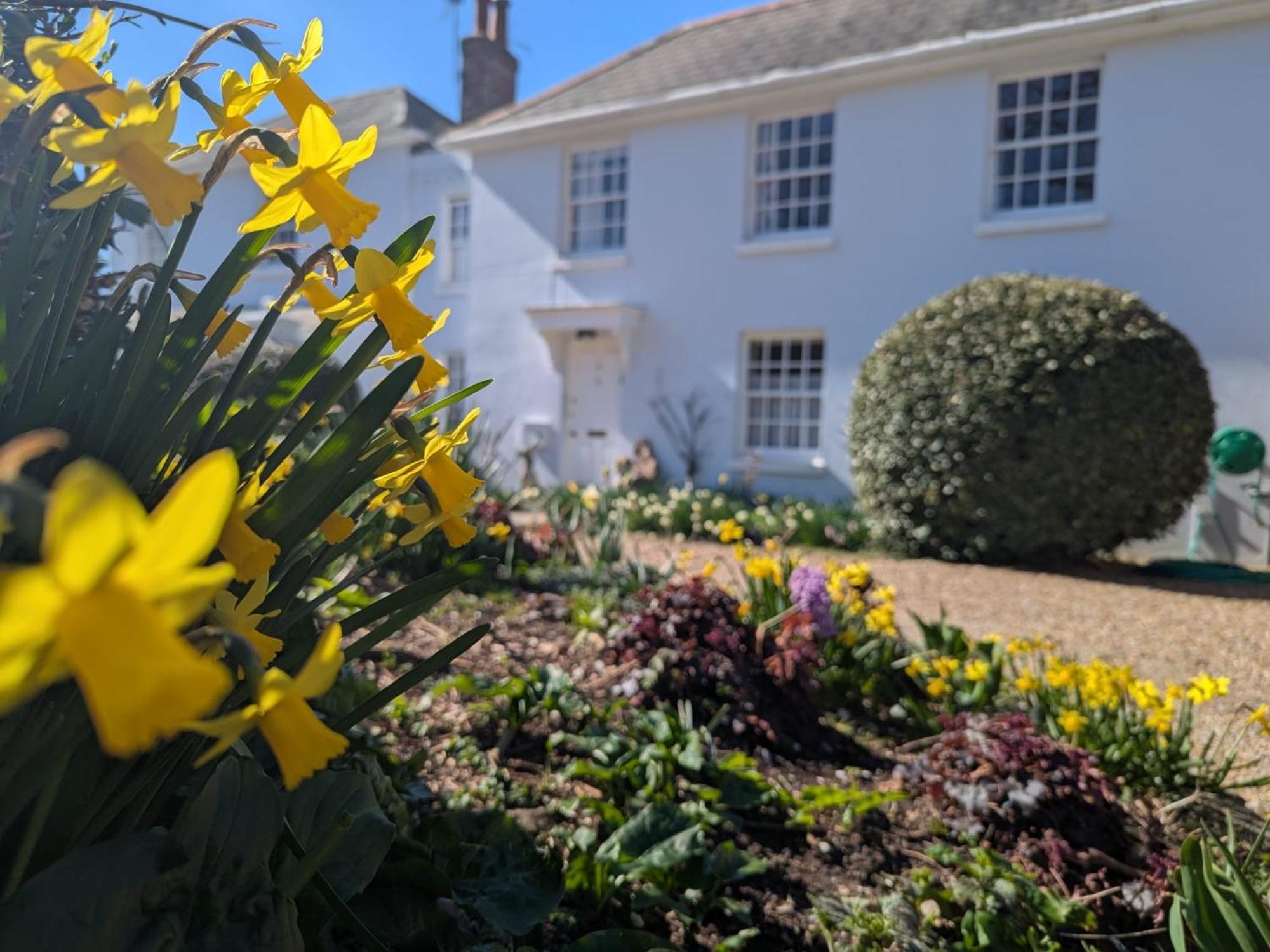 Georgian 2 Bedroom Apartment In Chichester With Free Parking - Chichester Holiday Properties Exteriér fotografie