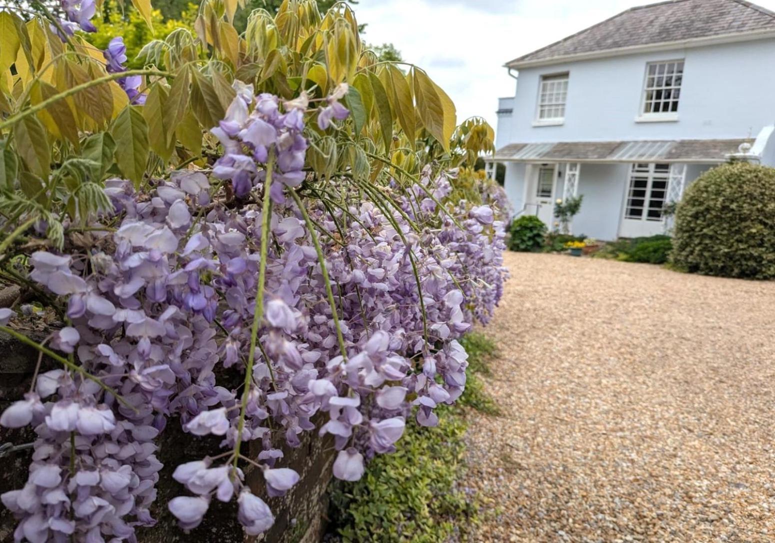 Georgian 2 Bedroom Apartment In Chichester With Free Parking - Chichester Holiday Properties Exteriér fotografie